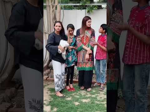 Zulqarnain vlogs | aizal zulqarnain | kanwal vlogs | kanwal zulqarnain vlogs | zulqarnain new vlogs