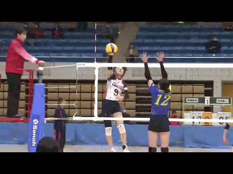 春の高校バレー岩手県大会開幕　全国切符かけ熱戦　盛岡誠桜（女子）南昌みらい（男子）が準々決勝進出 (25/10/31 1...