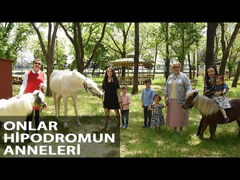 Hipodromlardaki Anneler