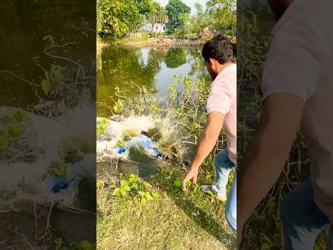 যেমন কর্ম তেমন ফল 😂 । Mfbtb #funnyshorts #mfbtv #viral #comedy