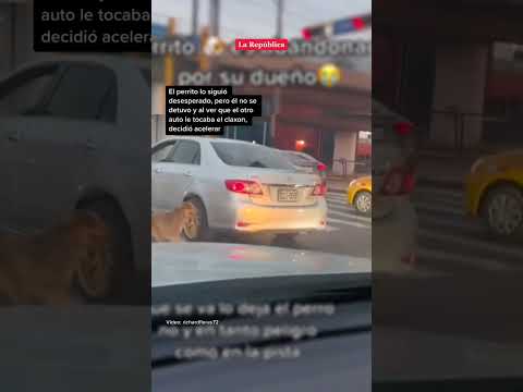Perrito abandonado persigue a "su dueño" en Lima #shorts