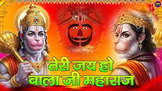 तेरी जय हो बाला जी महाराज Salasar Dham Bhajan | सालासर धाम भजन | Salasar Dham Sarkar Bhajan 2025