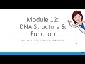 DNA Structure and Transformation Concepts