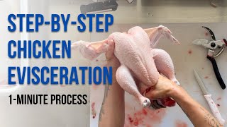 Step-by-Step Chicken Evisceration (1-Minute Process, 3 Angles)