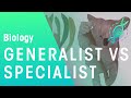 Generalists vs Specialists in Ecosystems