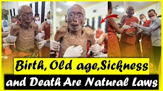 The First Noble Truth is that the suffering of birth, old age, sickness and death is unavoidable.
