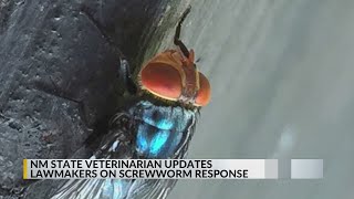 YouTube video thumbnail: New Mexico State Veterinarian Updates Lawmakers on Screwworm Response