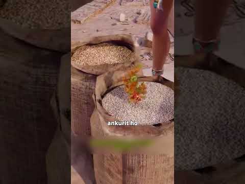 рдЖрдЦрд┐рд░ рдХреИрд╕реЗ рдкреНрд░рд╛рдЪреАрди рдорд┐рд╕реНрд░ рдореЗрдВ рдкрддрд╛ рдХрд░рддреЗ рдереЗ рдХреА рдФрд░рдд рдЧрд░реНрднрд╡рддреА рд╣реИ? рдЬрд╛рди рдХреЗ рджрдВрдЧ рд░рд╣ рдЬрд╛рдпреЗрдВрдЧреЗ #factsinhindi