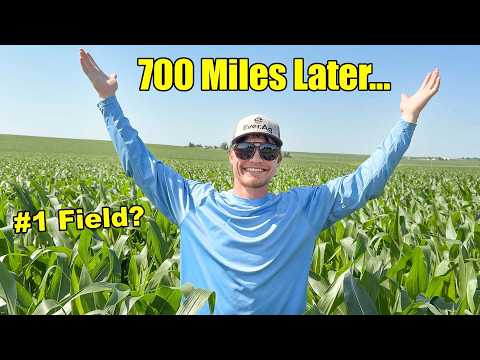 I Searched 700 Miles of Farmland... Nothing Came Close to This