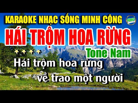 Karaoke Nhạc Trữ Tình Tone Nam Dễ Hát | Nhạc Vàng BOLERO Tuyển Chọn – HÁI TRỘM HOA RỪNG