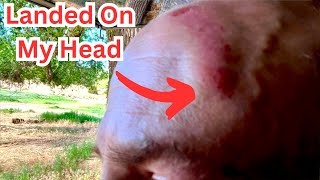 About Knocked Myself Out + Remote Canyon Brown Trout Fishing
