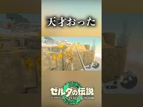 みんなもここで詰んだよね?【ティアキン】