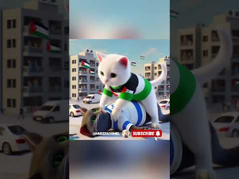 KUCING ISRIWIL DAN PALESTINA GADUH LAGI || #feedshorts #kitten #kucinglucu #cats #catvideos #comedy