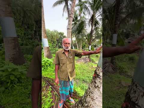 ইঁদুরের হাত থেকে বাঁচতে।
