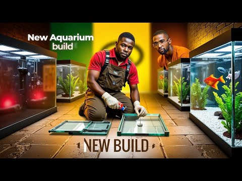 Unlocking the Secrets_ How I Calculate Costs to Bu AQUARIUM COSTING

The cost to build an aquarium is $50 to $2000+ on average depending on the size, c