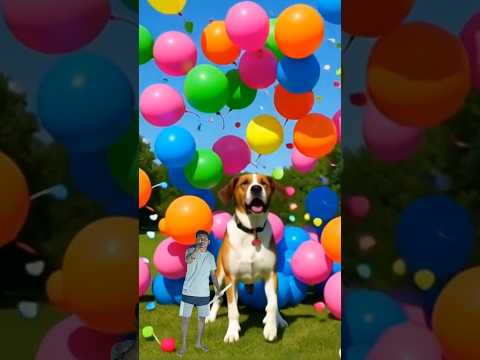 The mascot vibrato assistant dog placed on the football field is popular, co-produced, and creative