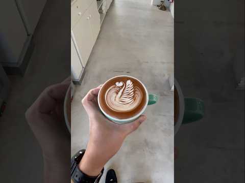 Swan latteart #coffee #swan #latteart #shorts #shortvideo #barista