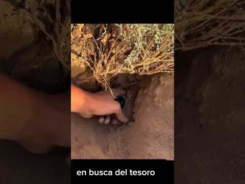 Este Hombre excavo sin saber que su vida Cambiaría para SIEMPRE 😱 #tesoros