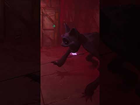 O fim de Catnap em câmera lenta