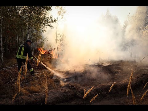 Київська область: рятувальники ліквідували масштабне загорання трав’яного настилу