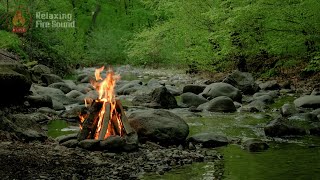 Cool Atmosphere 🔥🌲 Campfire in the Forest by a Babbling Stream with Chirping Birds
