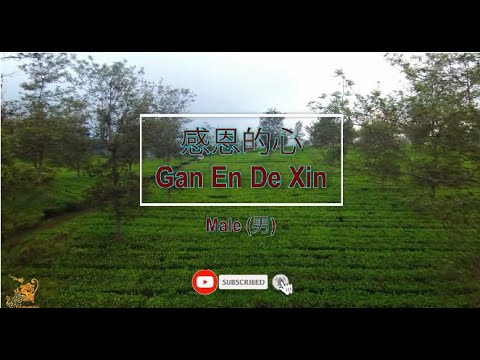 感恩的心 (Gan En De Xin) Male Version – Karaoke mandarin with drone view