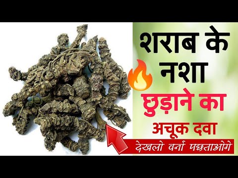 शराब के नशा से छुटकारा पाने का अचूक दवा/ बार बार प्यास लगना/ बवासीर/ चिकनपॉक्स/ मकड़ी काटने//