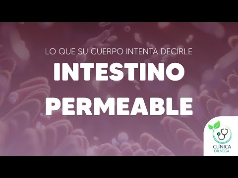 Intestino Permeable: Lo que su cuerpo intenta decirle #clinicadrvega #intestino