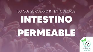 Intestino Permeable: Lo que su cuerpo intenta decirle #clinicadrvega #intestino