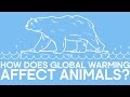 Impact of Climate Change on Wildlife