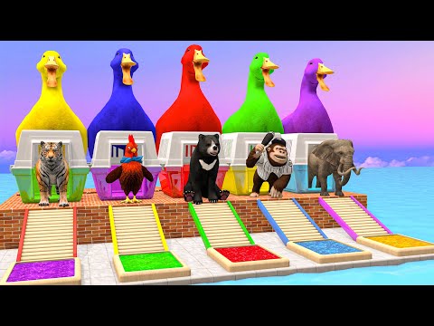 5 Giant Duck Cartoon,Tiger,Cow,Zebra,Gozilla,Dog,Lion,Bear Wild Animals Crossing Fountain 2024