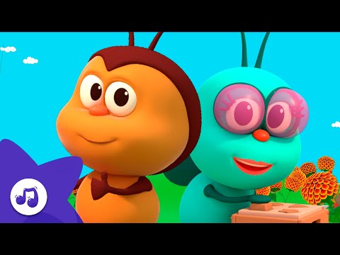 Você Conhece os Bichinhos Felizes? | Desenho Infantil 🌈 Bichikids em Português