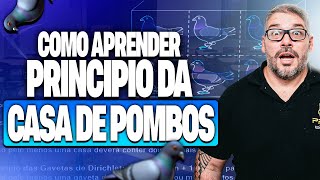 Como Funciona o Princípio da Casa dos Pombos em Provas de Concurso