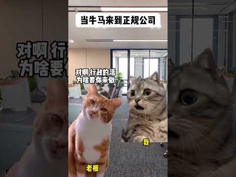 猫と牛のコラボ動画：ユーモアとリアルさが楽しめるミーム集 サムネイル
