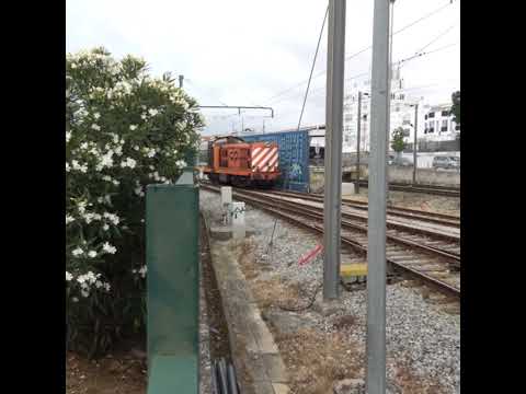 Diesel-electric locomotive arriving park #cp1400 #enginesound #subscribe #views #locomotive