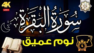 سورة البقرة طاردة الشياطين رقية للبيت وعلاج للسحر💤 تلاوة للنوم | Surah Al Baqarah