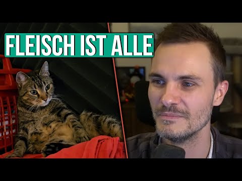 Katze will Fleisch aber das ist alle.