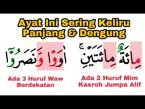 Ini  Kesalahan Yang Harus Diubah, 3 Waw Berderet & Mim Kasroh Jumpa Alif, Awas Keliru Ini