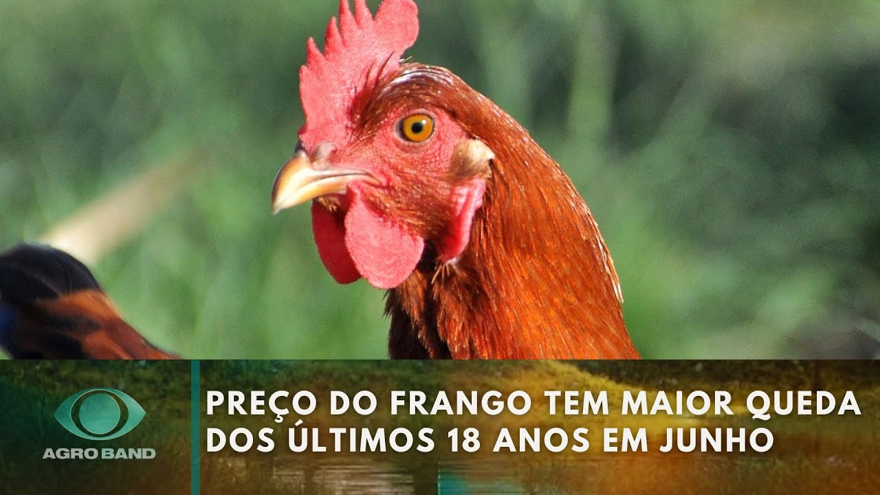 Giro Brasil: manguezais, queda no preço do frango e da laranja