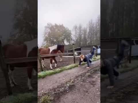 He wore a horse mask and confused a real horse
