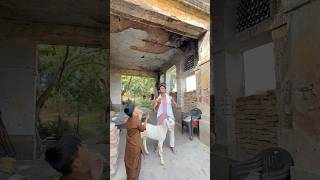 Sufiyan ko hua bakre se pyar😭💔🙏🏻 #trending #emotional #motivation #shorts