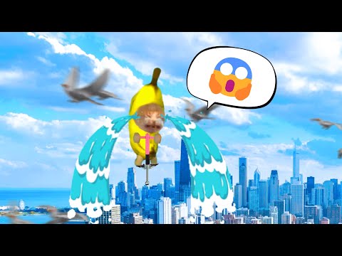 Banana Cat Can't Come Down😹🍌[FULL EPISODE]