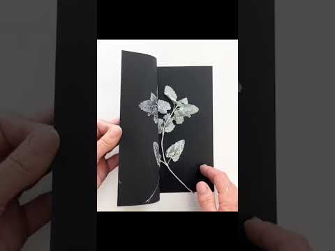 This is a wild sage of nature and art #guhitjosh #fyp #art #artnature #naturelovers #D.I.Y