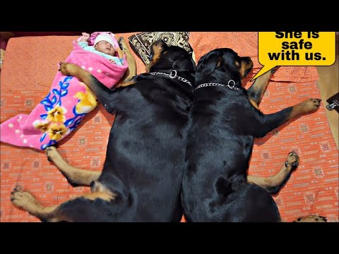 CUTEST BABY ANIMALS - Funny and cute moments of animal loving family 2023