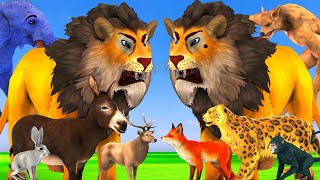 जंगल का राजा शेर और खूनी चीता भेड़िया बीच में युद्ध Sher Bhediya Kathal ki Kahani animal stories