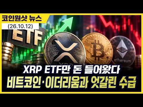 XRP ETF만 돈 들어왔다…비트코인·이더리움과 엇갈린 수급