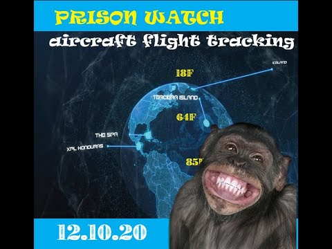 Monkey Werx Overwatch SITREP 12.10.20