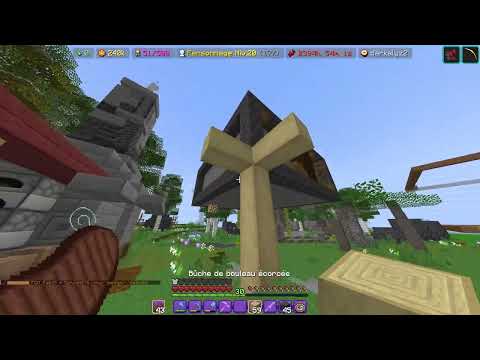 j'avance sur ma box  ! (Minecraft blocaria#2)