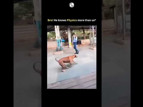 He Knows Physics More Than Us!🥹🥹 #Shorts #PhysicsWallah