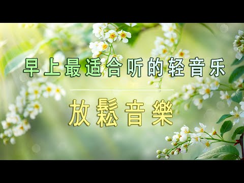 輕音樂 放鬆 - 早上最適合聽的輕音樂 - 美妙的音樂 - 純鋼琴輕音樂 - 轻松的钢琴音乐